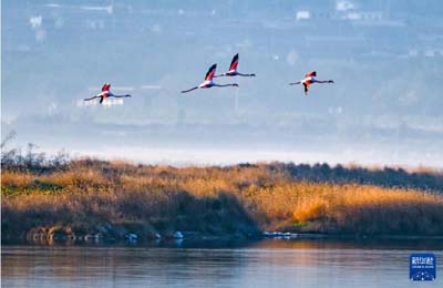  初冬時(shí)節(jié)，神州大地開(kāi)啟“美顏”模式  